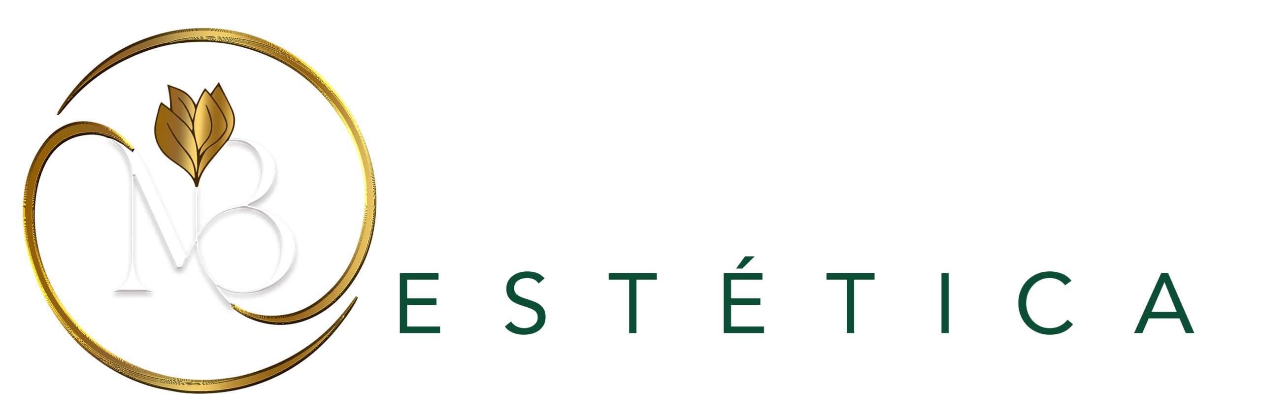 LOGO MAIBELL APIS TRANS